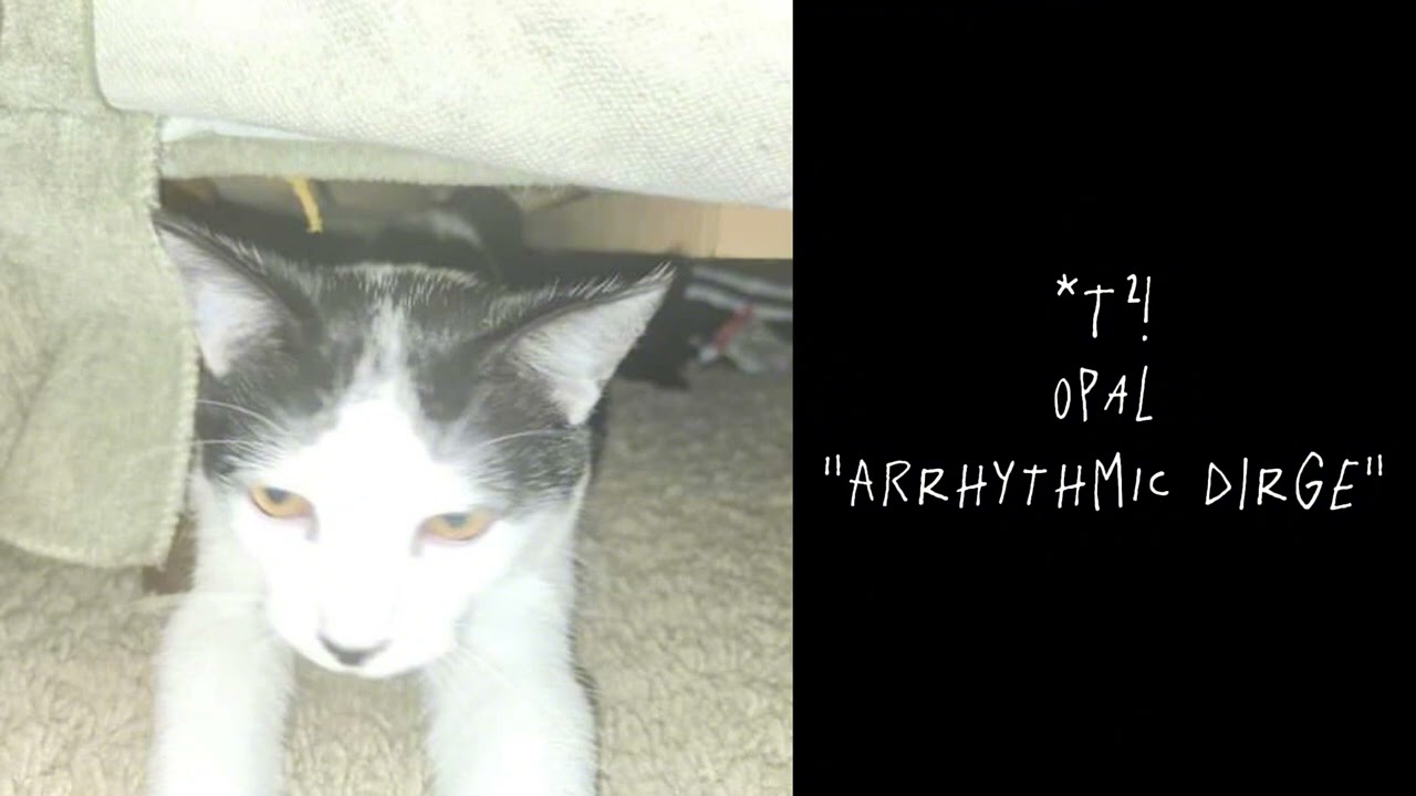 *T²! - Arrhythmic Dirge