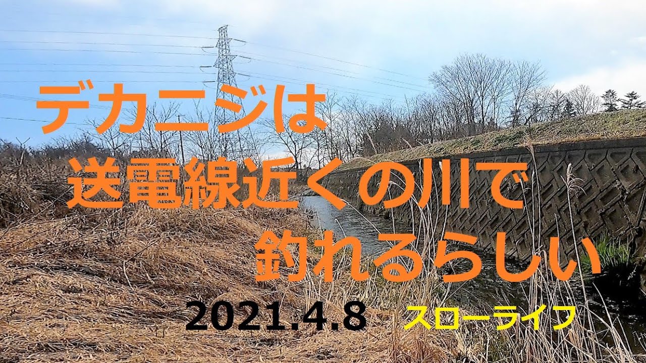 2021 4 8   デカニジは送電線の近くの川で釣れるらしい