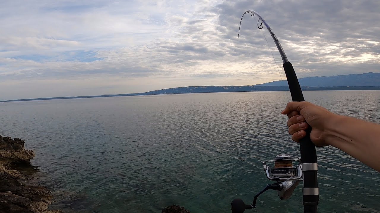 Crazy Fight With A Monster Fish | Fishing Life | Island of Pag, Croatia