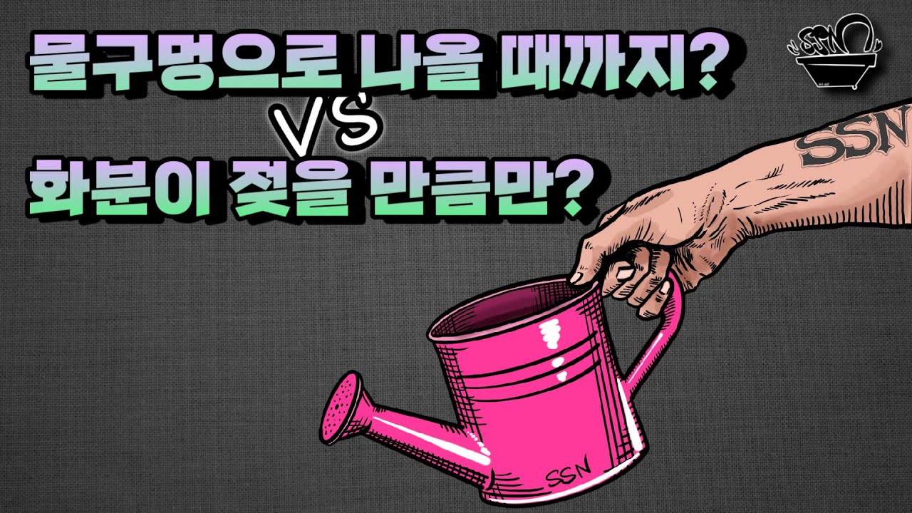 식물 물주는 방법 / 두상관수의 2가지 방식 / 미카엘이 물주는 방법 그리고 과습에 대하여 / 식물키우기의 모든것 식소남 미카엘
