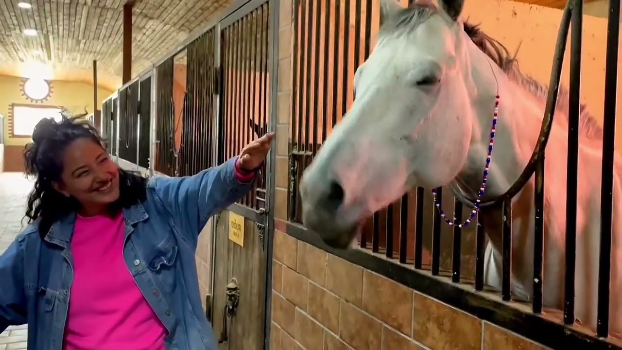 Omar Horse club 🐎  - 4k walking tour #baku #azerbaijan