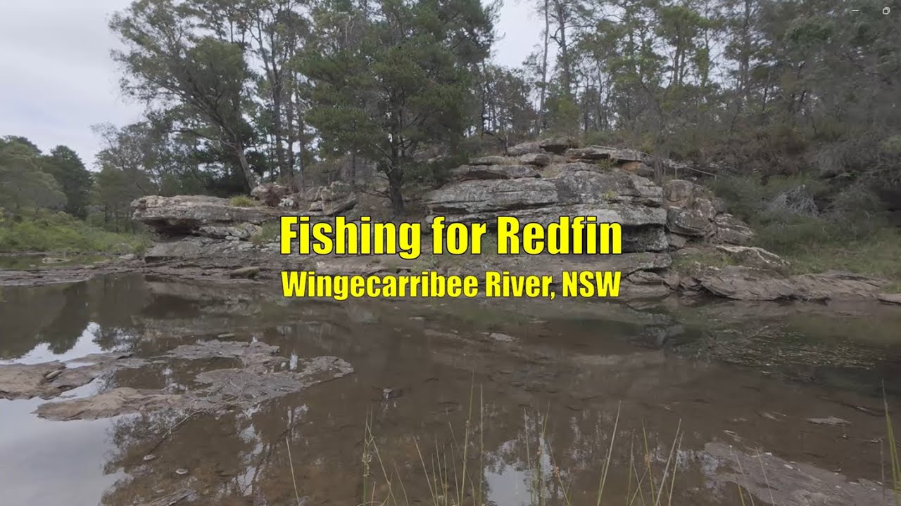 Fishing for Redfin - Wingecarribee River, NSW