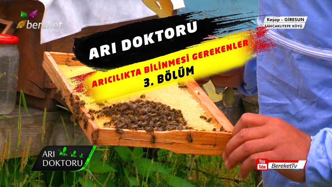 @BereketTV  Arı Doktoru / 3. Bölüm  Arıcılıkta Bilinmesi Gerekenler