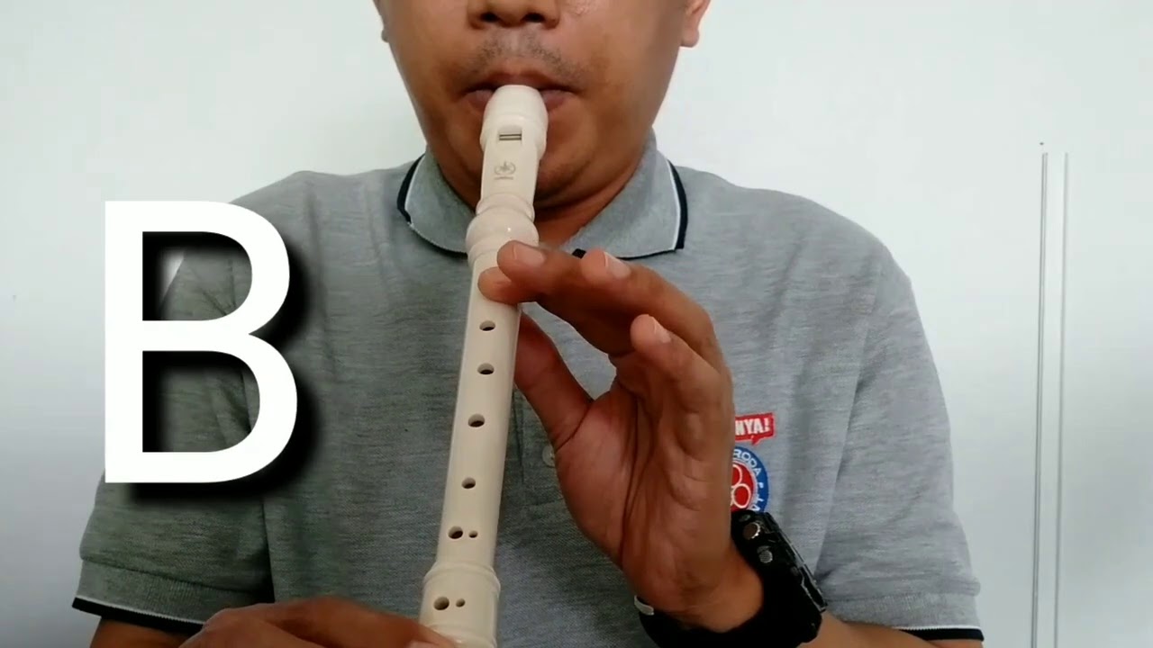 Recorder - Fingering GABC'D'
