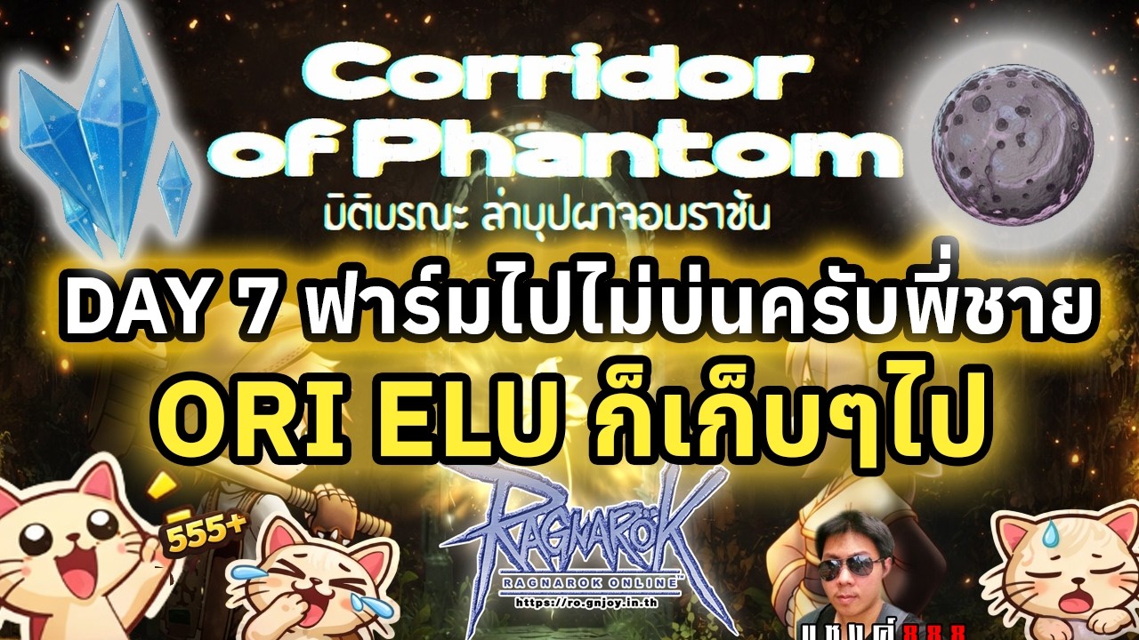 Ragnarok Online แมวนักสู้ ฟาร์ม COP 2026 เน้นเล่นไม่เน้นวิเคราะห์ เก็บ โอริ อีลูไป