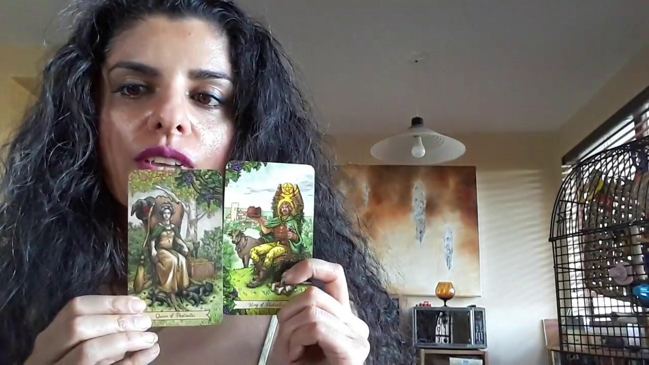 Q&A Announcement/Why Im loving the Everyday Witch Tarot