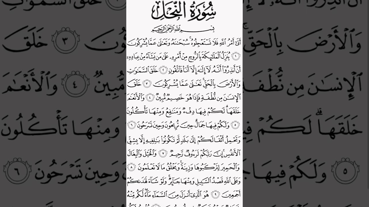 surah an-nahl | 128 verses meccan Beautiful Quran | recitation #Shorts
