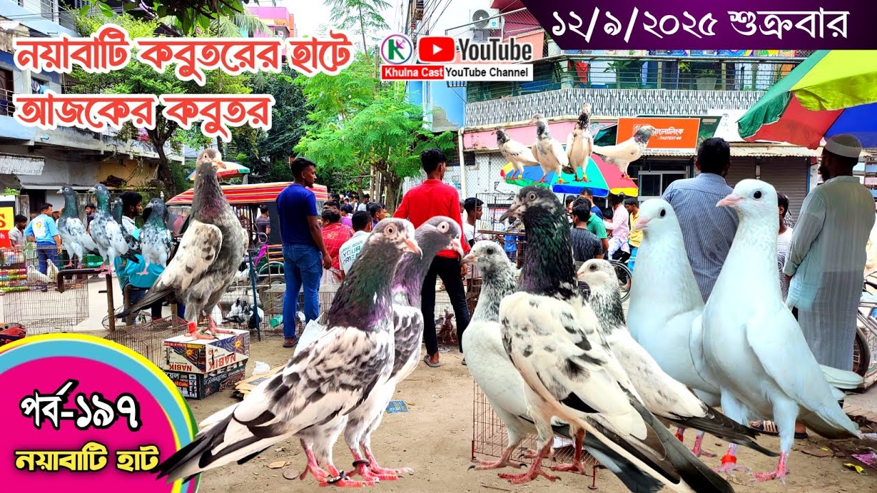 সবথেকে বড় কবুতরের হাট পর্ব-১৯৭ Largest pigeon market in Khulna খালিশপুর, নয়াবাটি, চিত্রালী, খুলনা