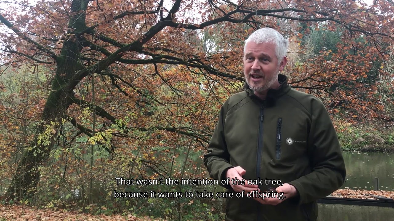 Eikels - Naar buiten met Van Buiten afll  15