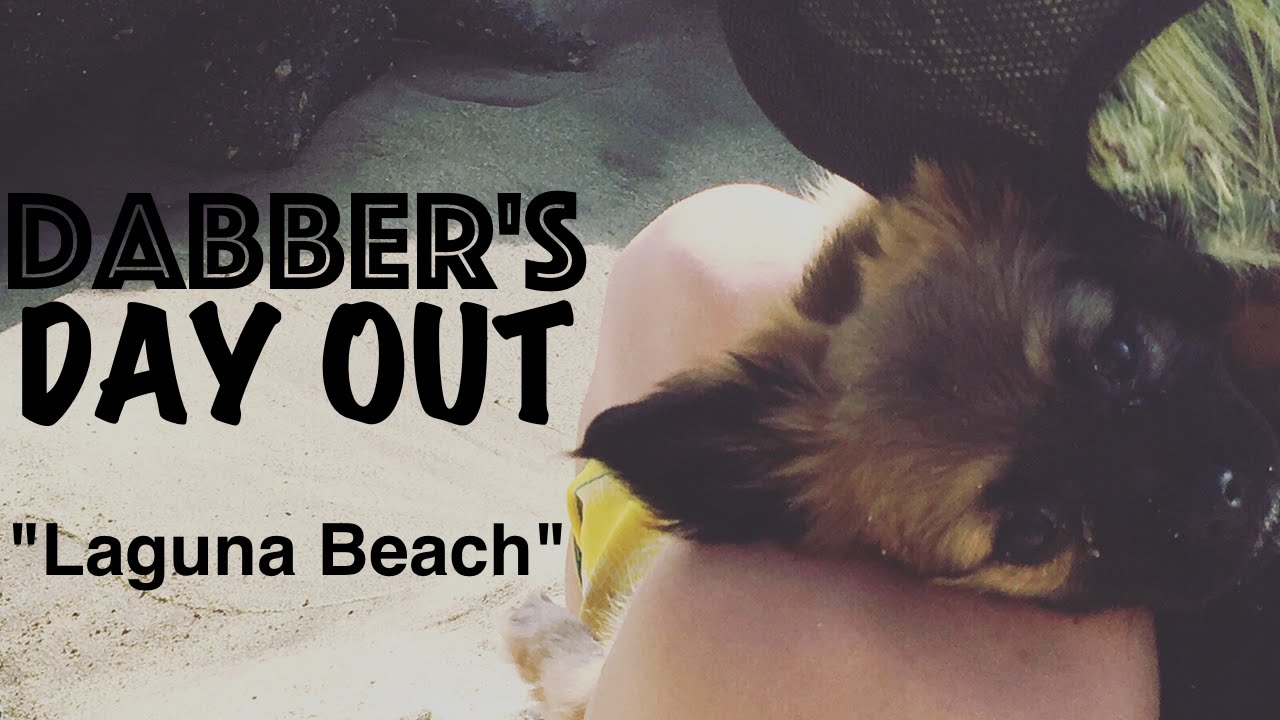 Dabber's Day Out | 