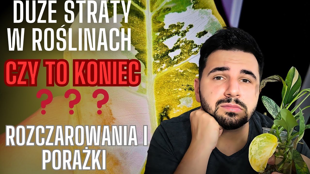 KONIEC Z ROŚLINAMI❓️Straty, rozczarowania, porażki 🥺