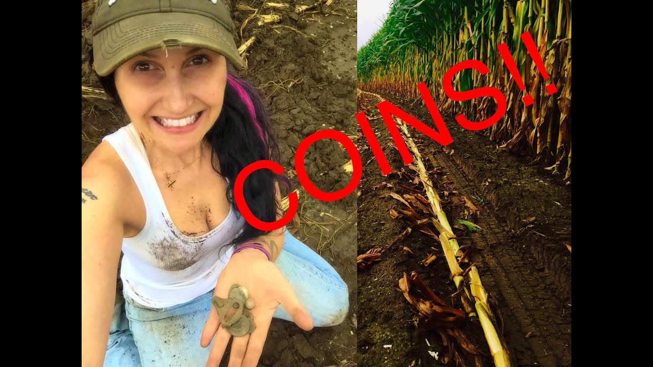 Metal detecting: Why I LOVE a freshly cut cornfield!!!  Coin harvest!!!  MXT Pro, Treasure Pro