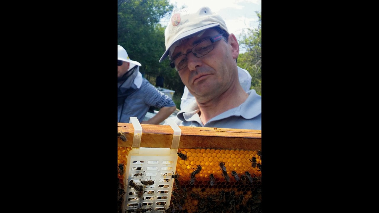 (20) Towards varroaresistence with Ralph Büchler