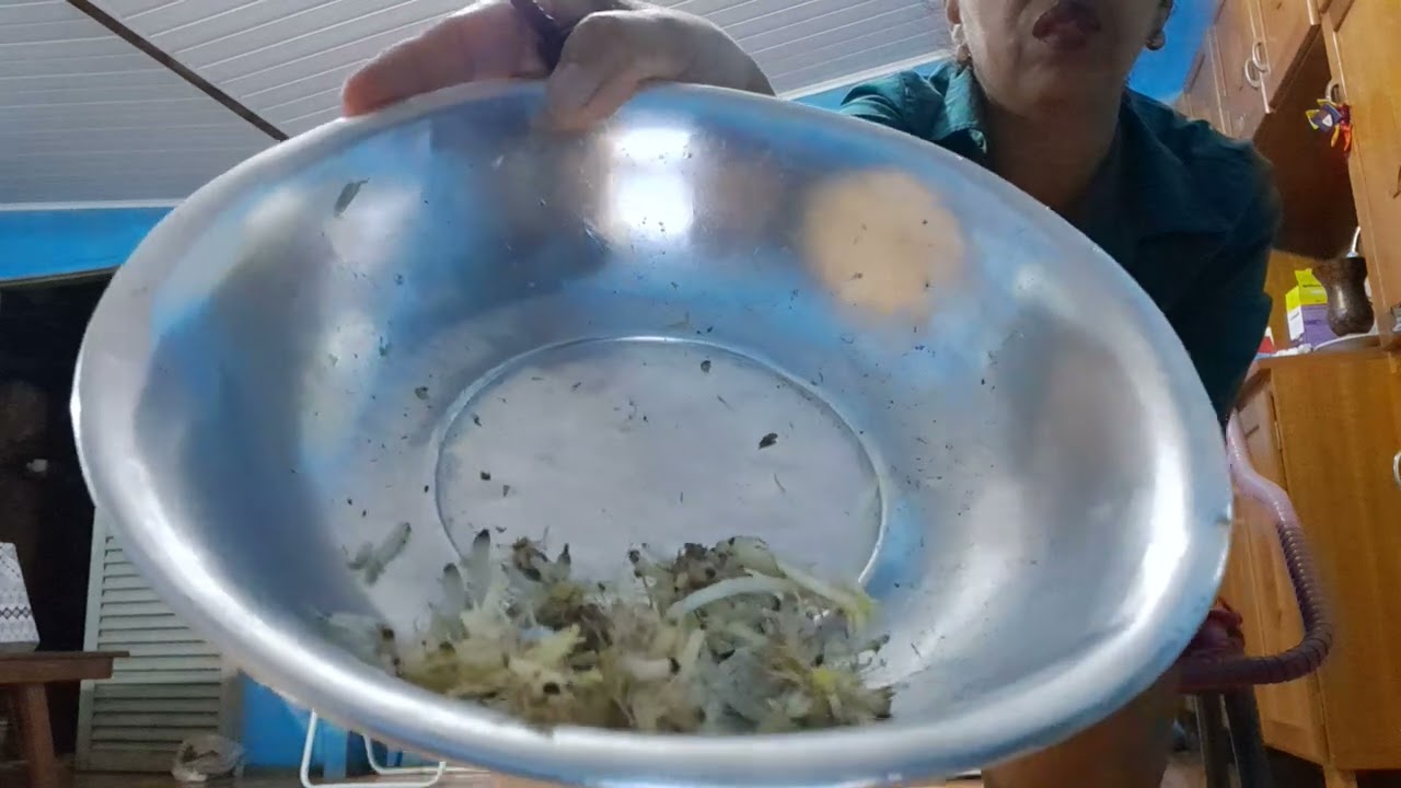 Minhas.batata.nasendo.tudo