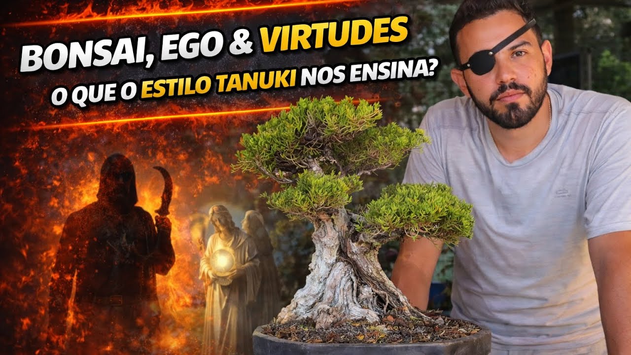 🌲 TANUKI • O EGO, AS VIRTUDES E O QUE O ESTILO ENSINA | BONSAI DO AUTOCONHECIMENTO 🍃✨