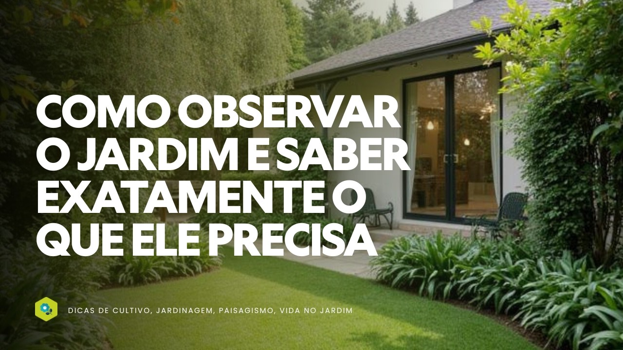 Como observar o jardim e saber exatamente o que ele precisa