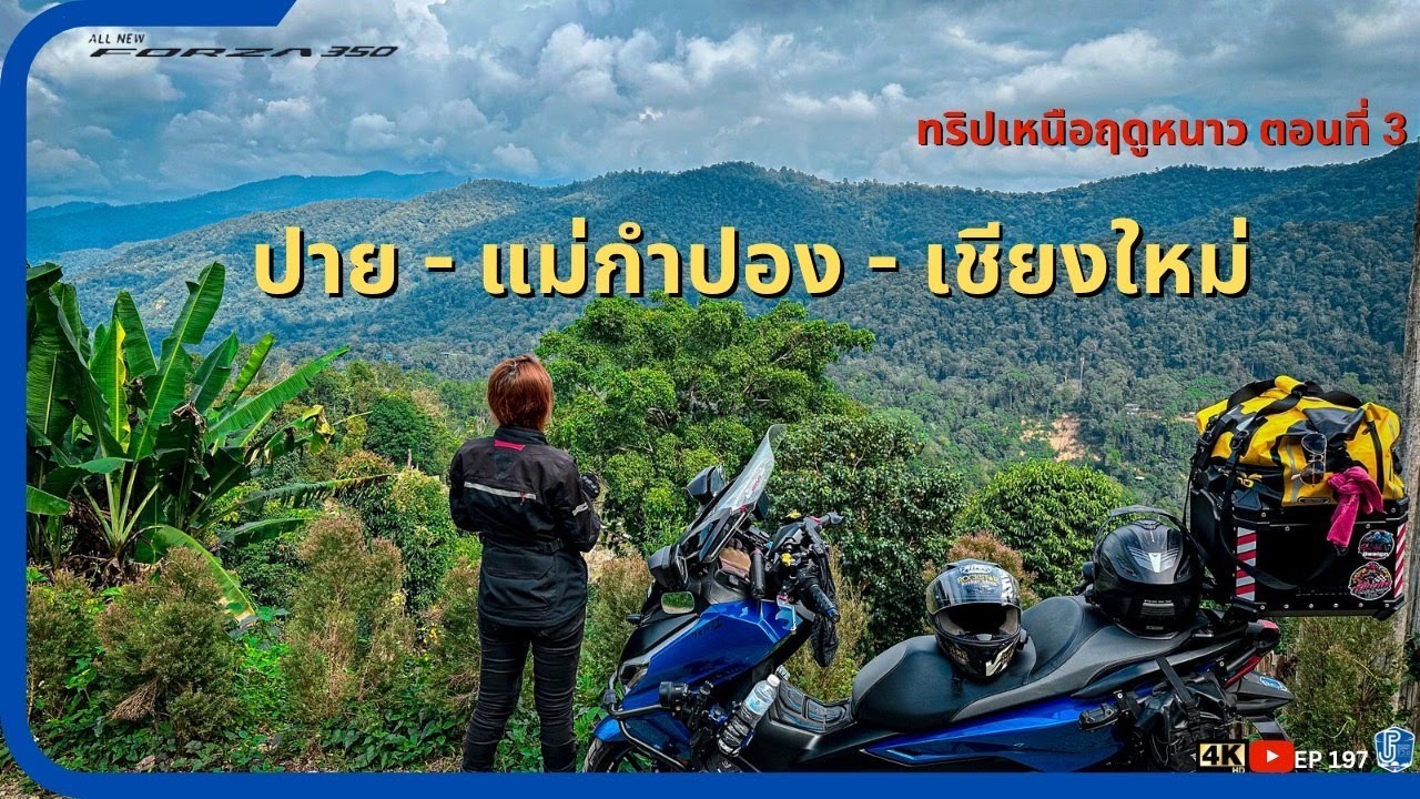 EP197 : ขี่ Forza350 ทะเลหมอกบ้านจ่าโบ่ ถนนคนเดินปาย - เชียงใหม่ - แม่กำปอง ทริปฤดูหนาว เหนือตอน3
