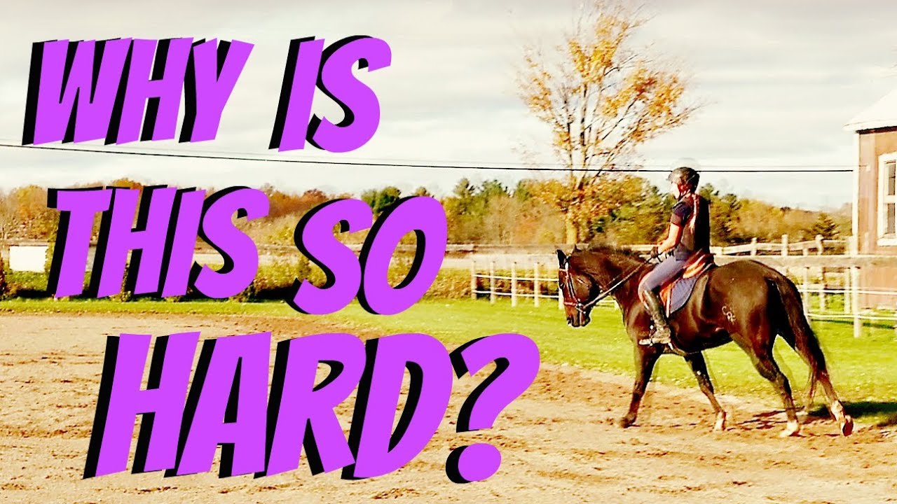 WHY IS THIS SO HARD FOR HER? Day 298 (10/27/18)