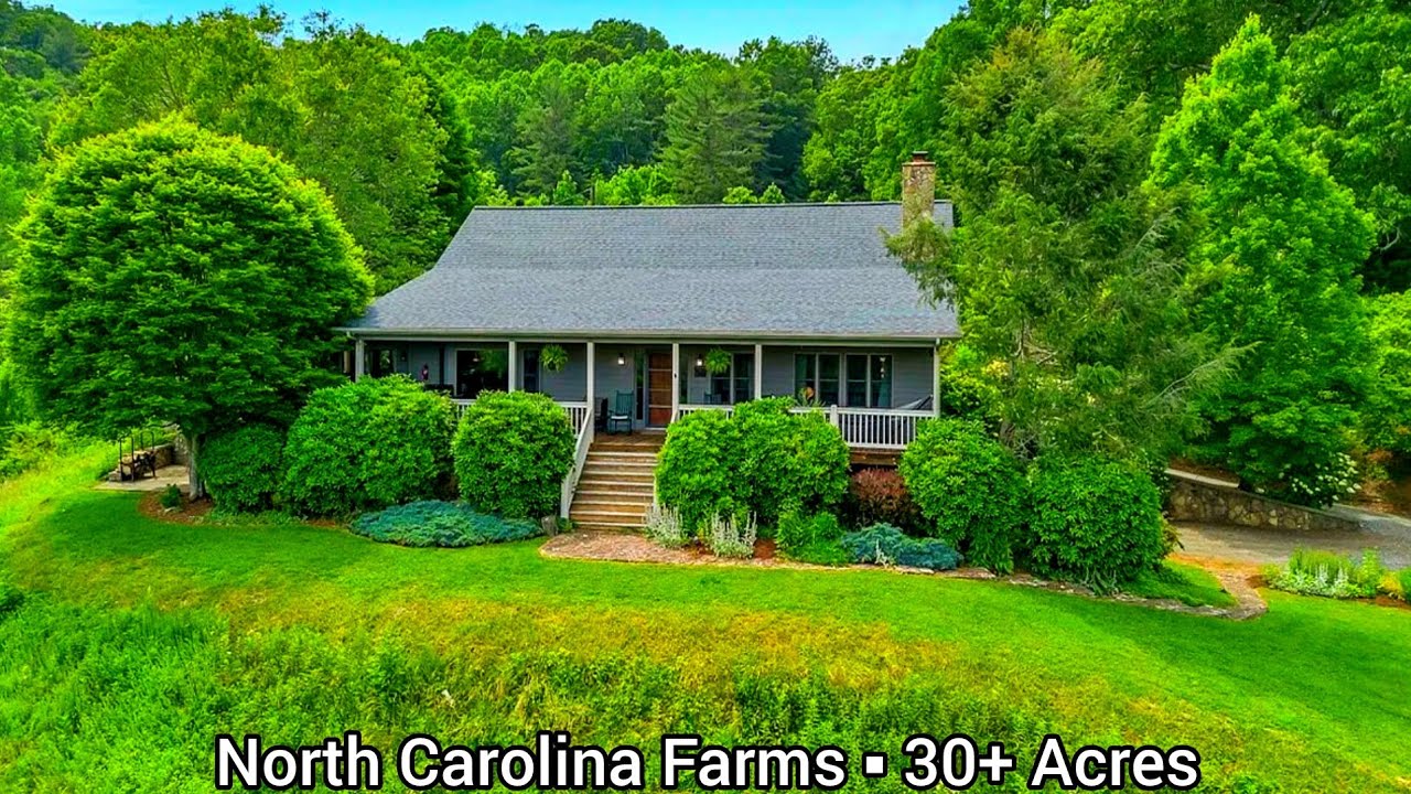 North Carolina Farms For Sale | 30+ Acres | Create Your Own Pond | North Carolina Real Estate