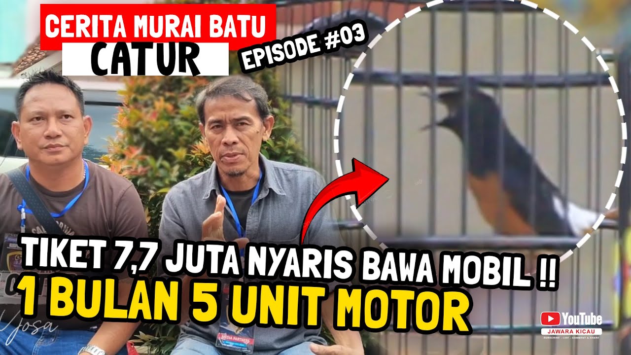 CERITA MURAI BATU CATUR 😱 TIKET 7,7 JUTA NYARIS BAWA MOBIL ⁉️1 BULAN 5 UNIT MOTOR 🔥#Episode03 #murai
