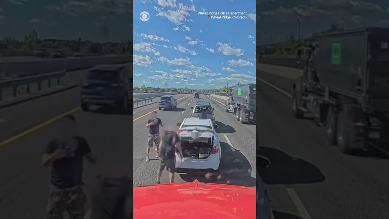 2 drivers stop on Colorado highway, confront each other, #shorts