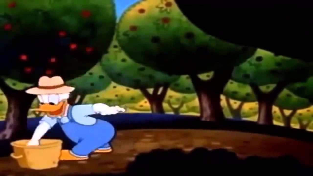 Knabbel en Babbel - Donald Duck spotprent Full Episodes - Best Compilation
