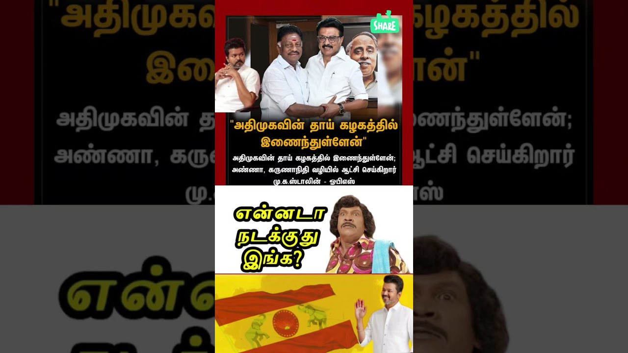 TVK || manadu #thalapathyvijay #thalapathy #youtubeshorts #shorts #fyp #vijay#jananayagan#campaign