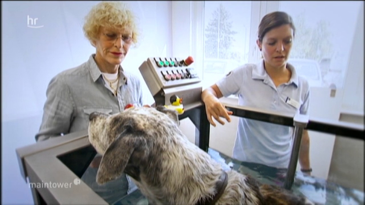WATER-WALKER bei der Tierklinik Hofheim