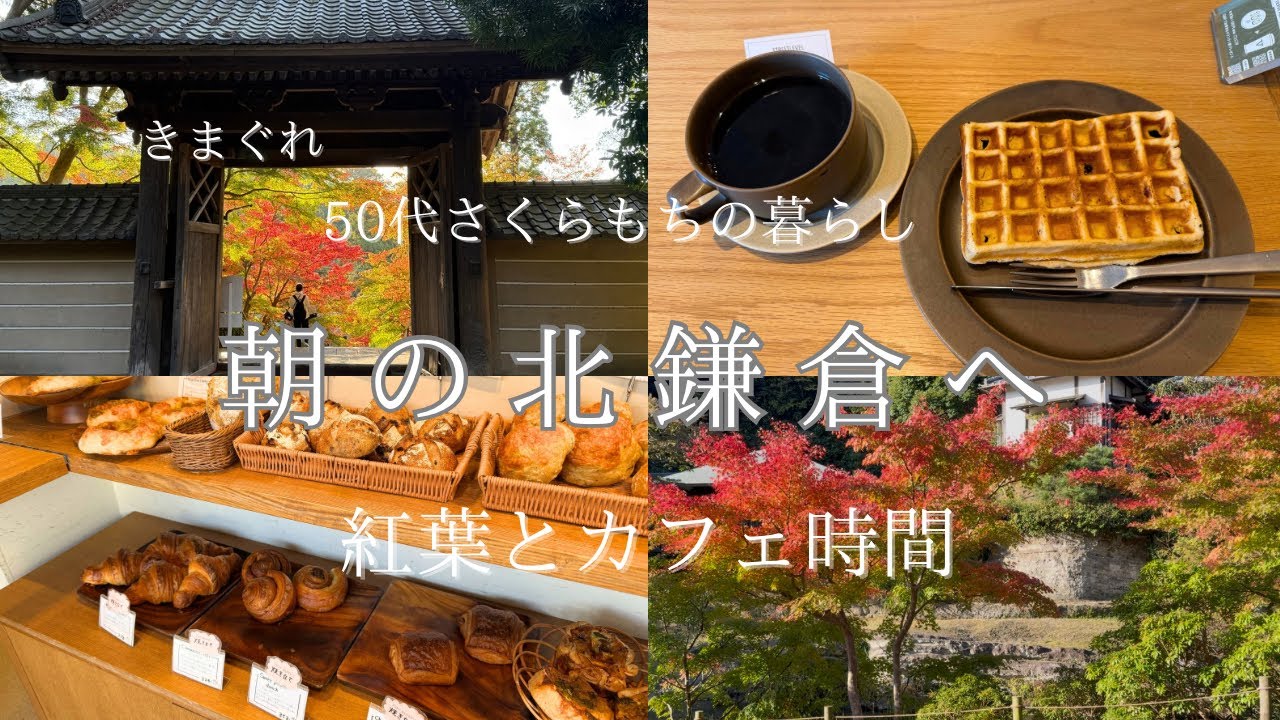 [北鎌倉ソロ活]朝のカフェから始まる紅葉めぐり|浄智寺・明月院・円覚寺|秋のひとり時間|きまぐれ50代さくらもちの暮らし#35