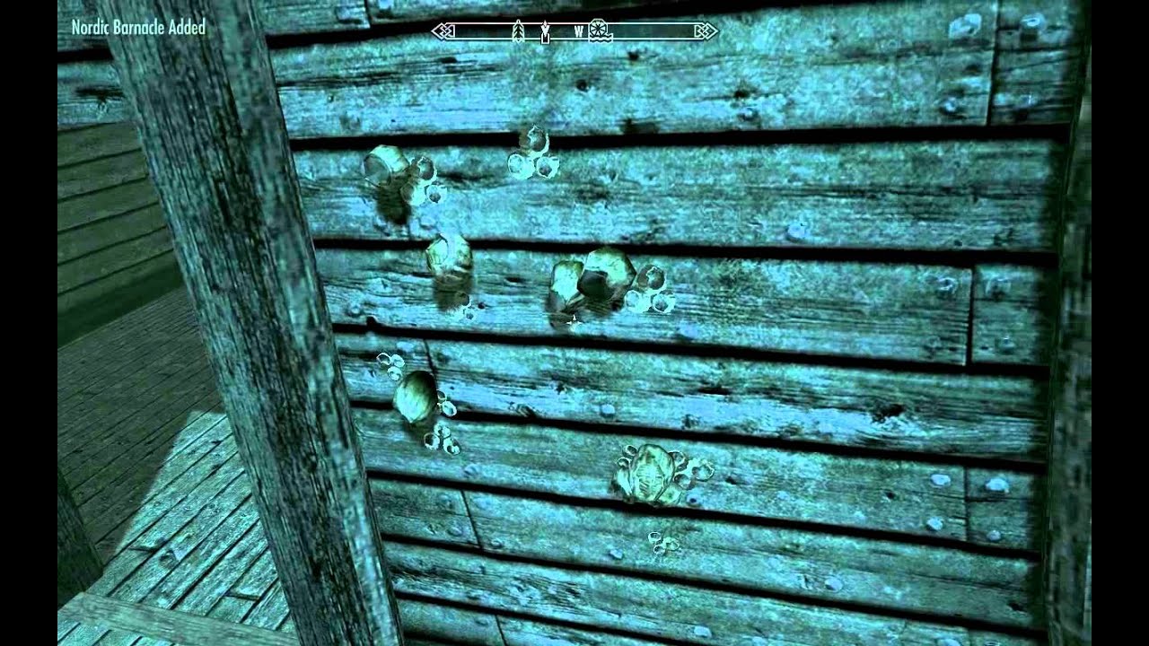 The Silvermoon Lake Ilinalta - Falkreath Hold Secondary Location Guide - Elder Scrolls 5 Skyrim