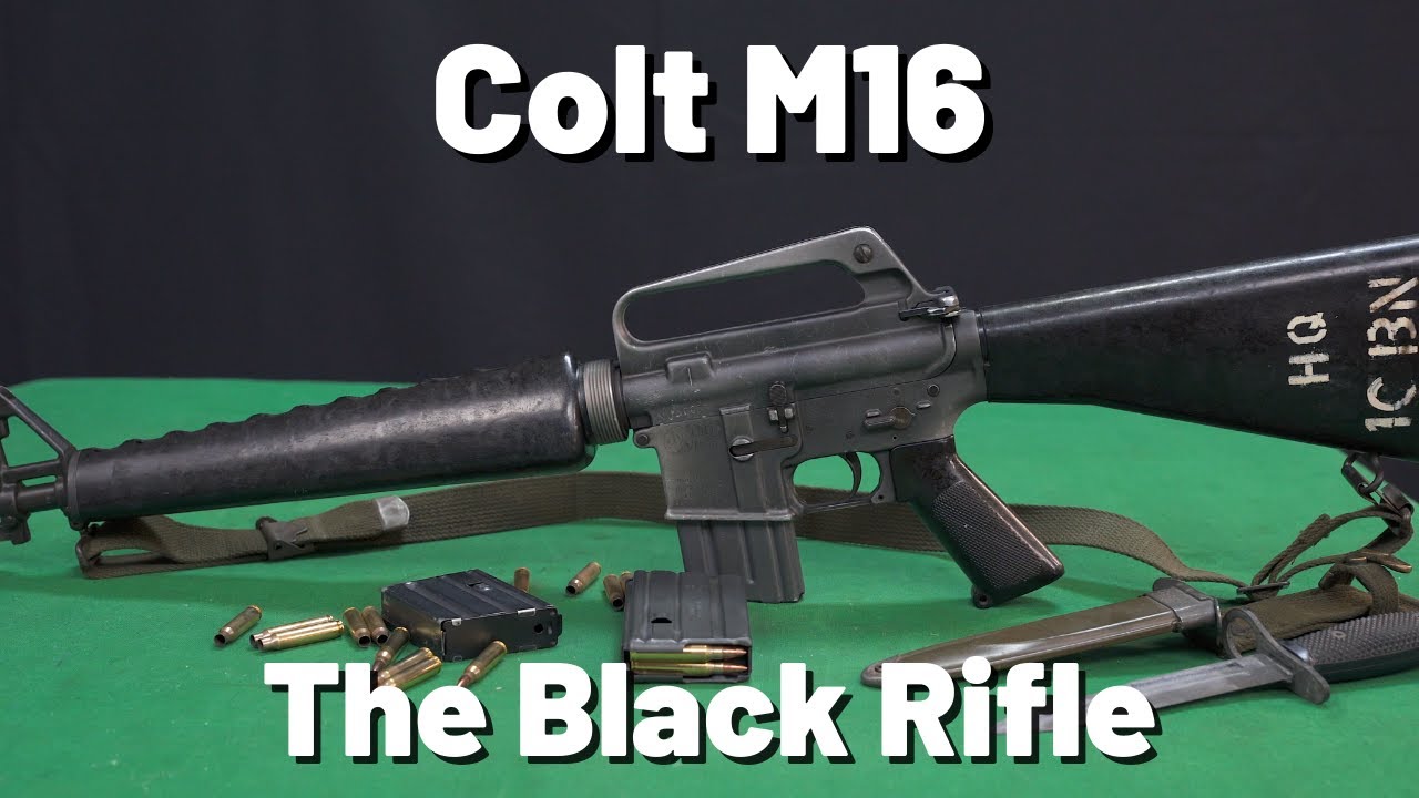 Colt M16A1 Welcome to the Jungle!