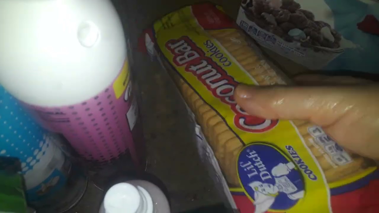 Dollartree haul