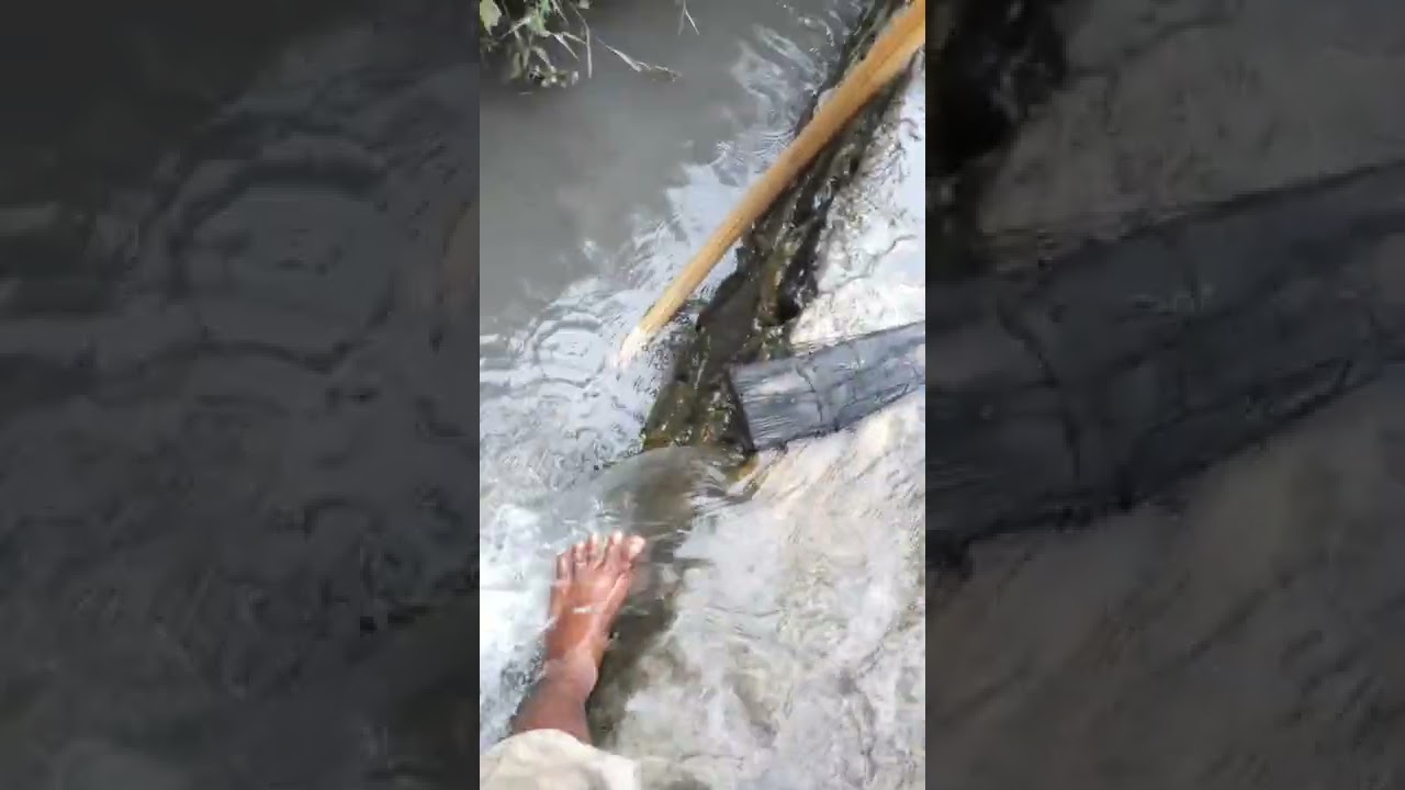 sumur bor artesis tanpa pompa
