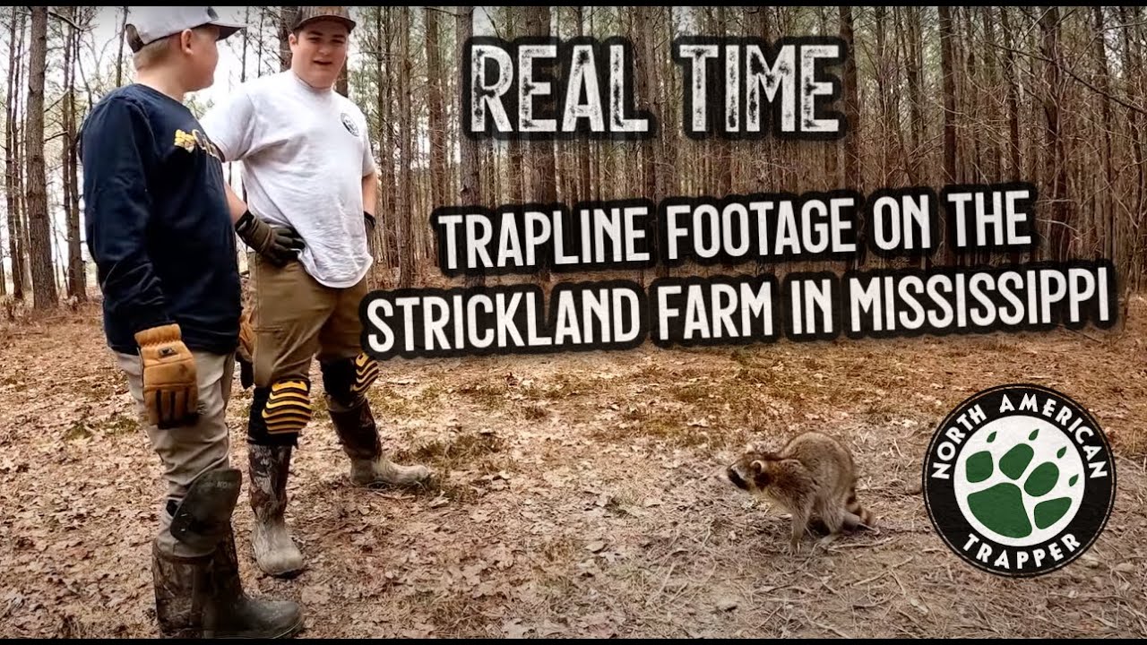 REAL-TIME Trapline Footage on the Strickland Farm in Mississippi