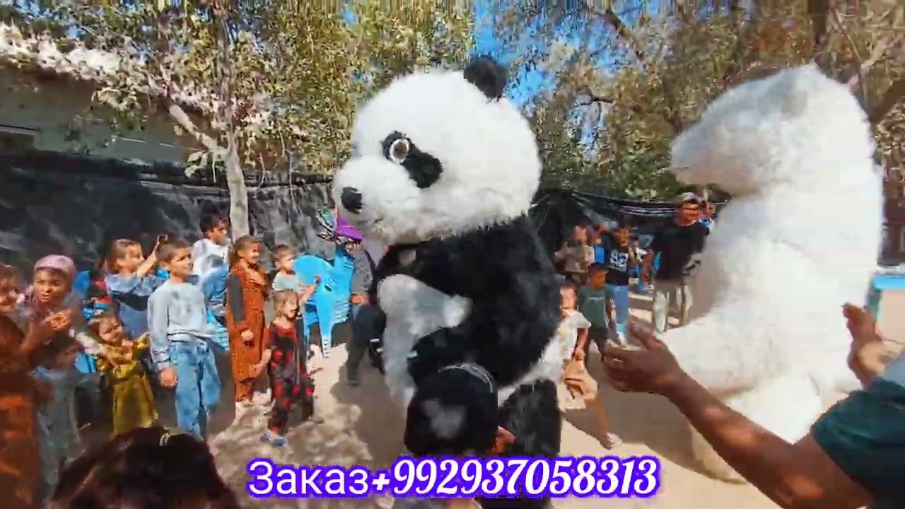 Хирсо дар туйи САЙЁД🐼🐻‍❄️