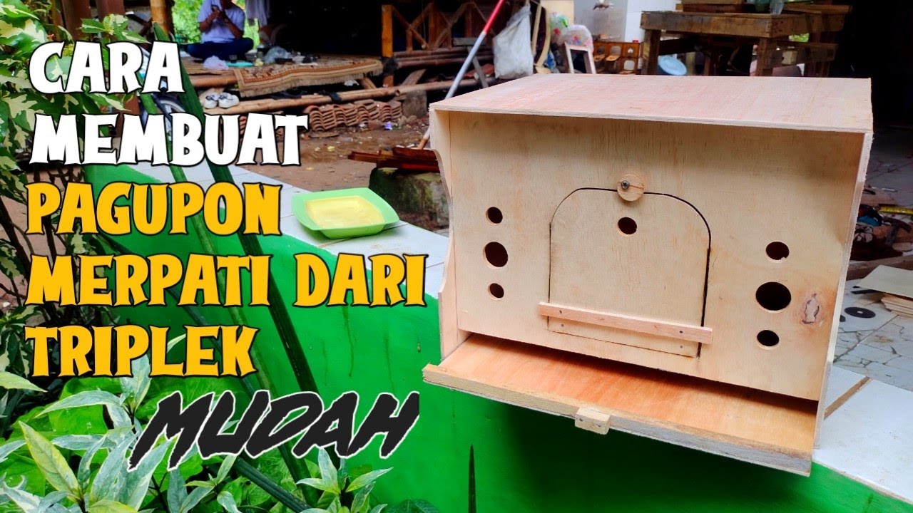 Cara Membuat Gupon Merpati dari triplek -  Kandang Merpati/burung dara