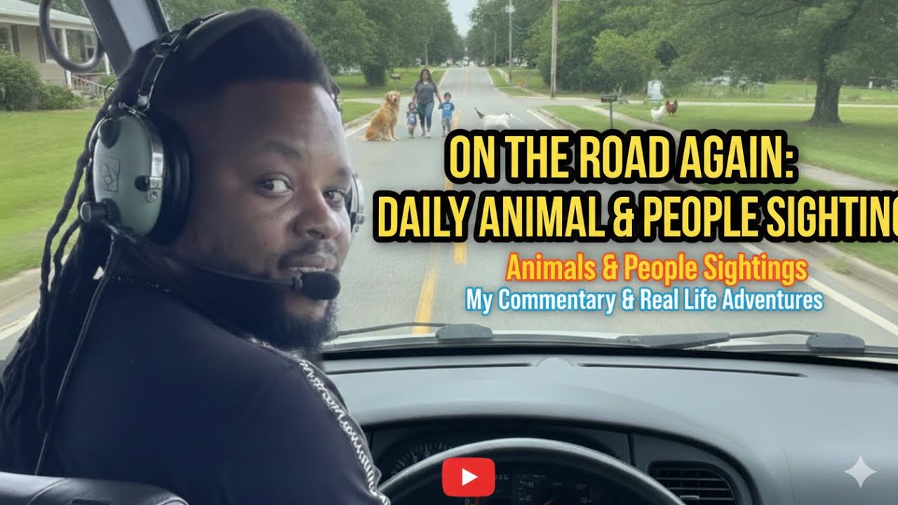 “On the Road Again 🚗 | Animals & People Everywhere”
