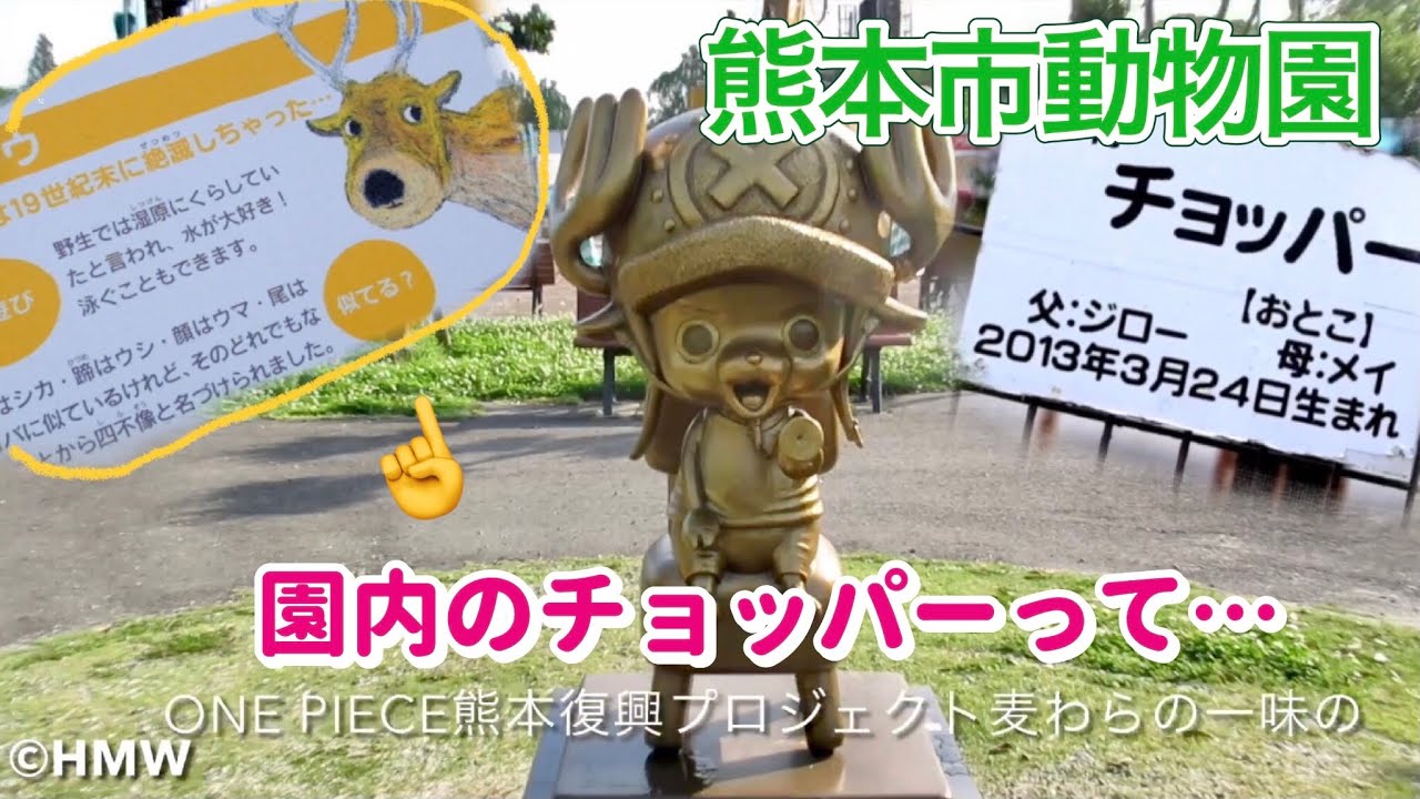 【チョッパーは園内にもいるよ！不思議な動物シフゾウ（四不像）って…！】熊本復興のチョッパー像とリアルチョッパー熊本市動植物園Mysterious animal？！