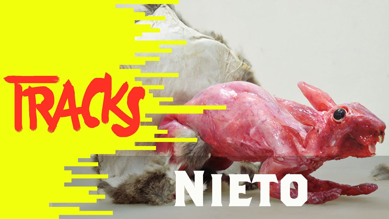 Nieto - Tracks ARTE