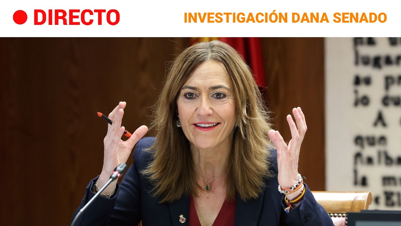 DIRECTO DANA Virginia Barcones, directora general de Protección Civil y Emergencias, en el SENADO