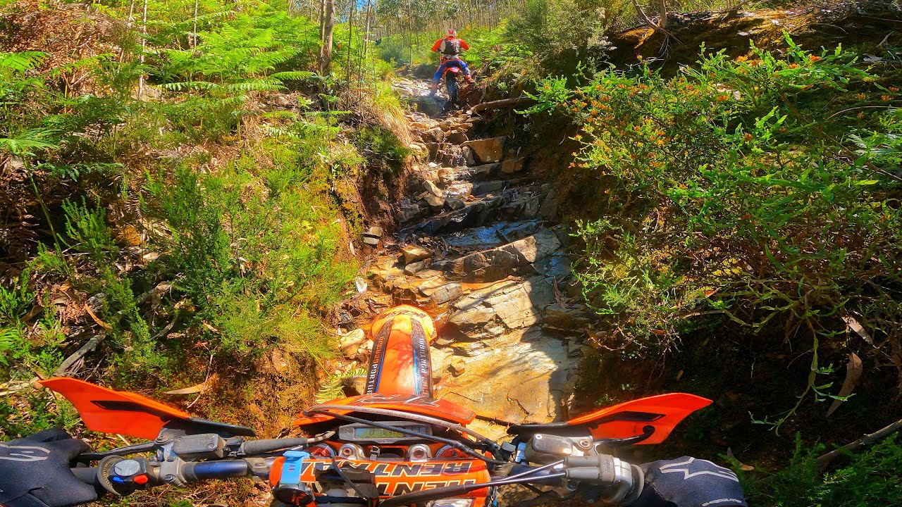 Hard Enduro ⚔️ & Friends 🍻