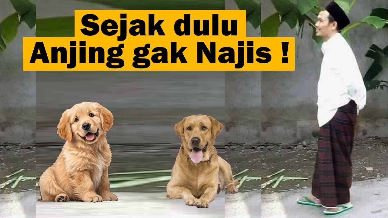 Gus Baha - Anjing Gak Pernah Najis Pada Semua Periode