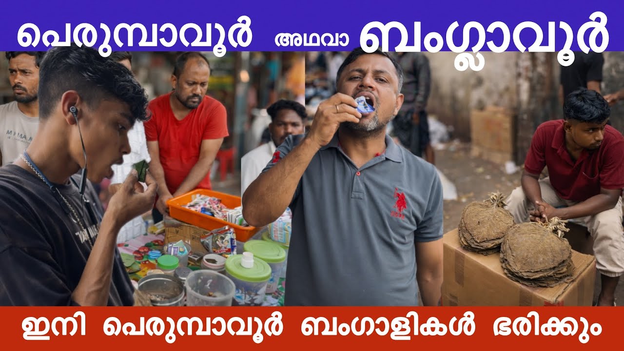പെരുമ്പാവൂർ ബംഗാളികൾക്ക് സ്വർഗ്ഗ തുല്യം 😍