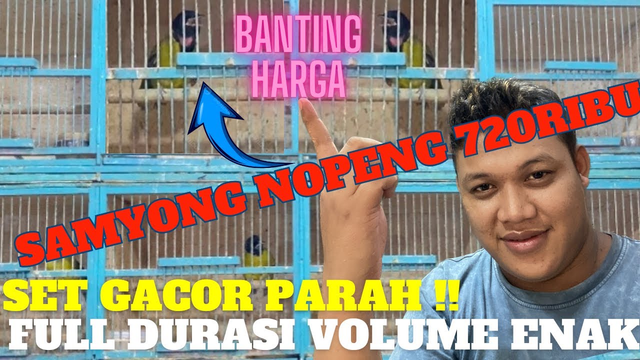 BANTING HARGA !! SAMYONG NOPENG GACOR HARGA 720RIBU!!