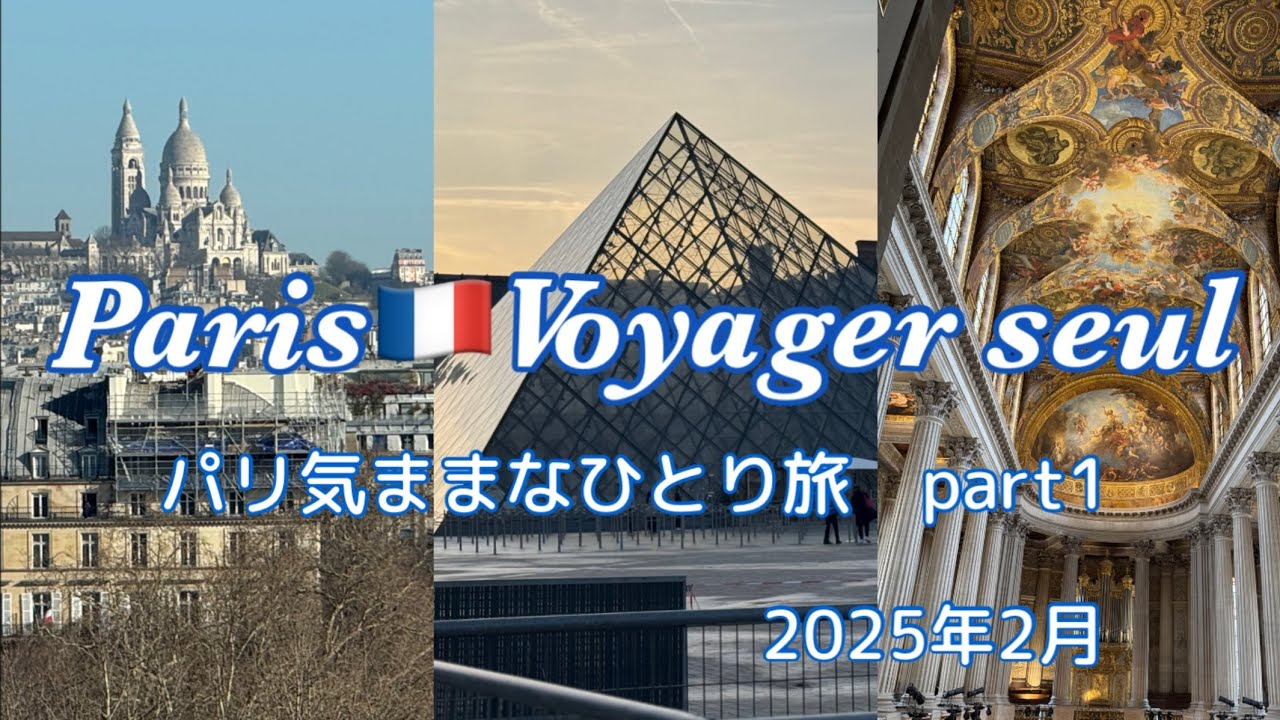 Paris🇫🇷パリ気ままなひとり旅①  ANAで羽田空港からシャルル・ド・ゴール空港へ