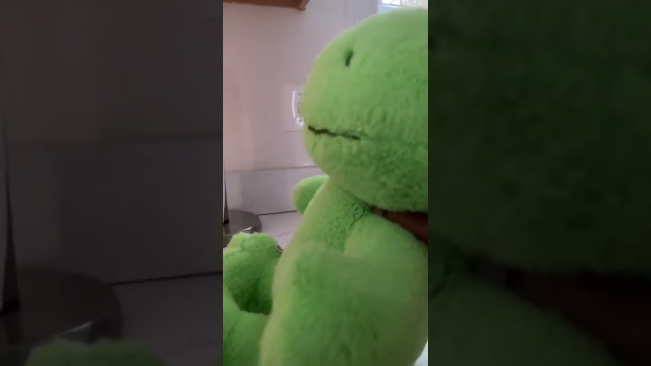 Melodies Of Citrus Grace!