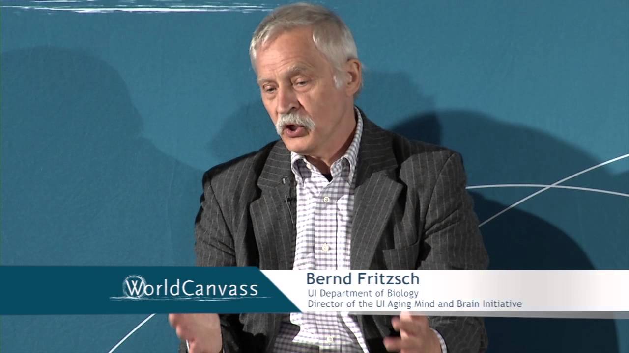 WorldCanvass - The aging mind and brain