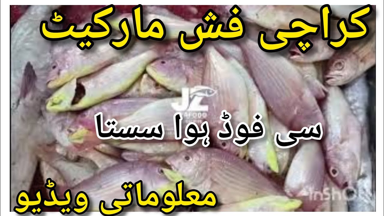 Aaj Karachi Fish Market Mein Sasti Fish & Prawns 😍 | Budget Seafood Shopping Update 🦐🐟