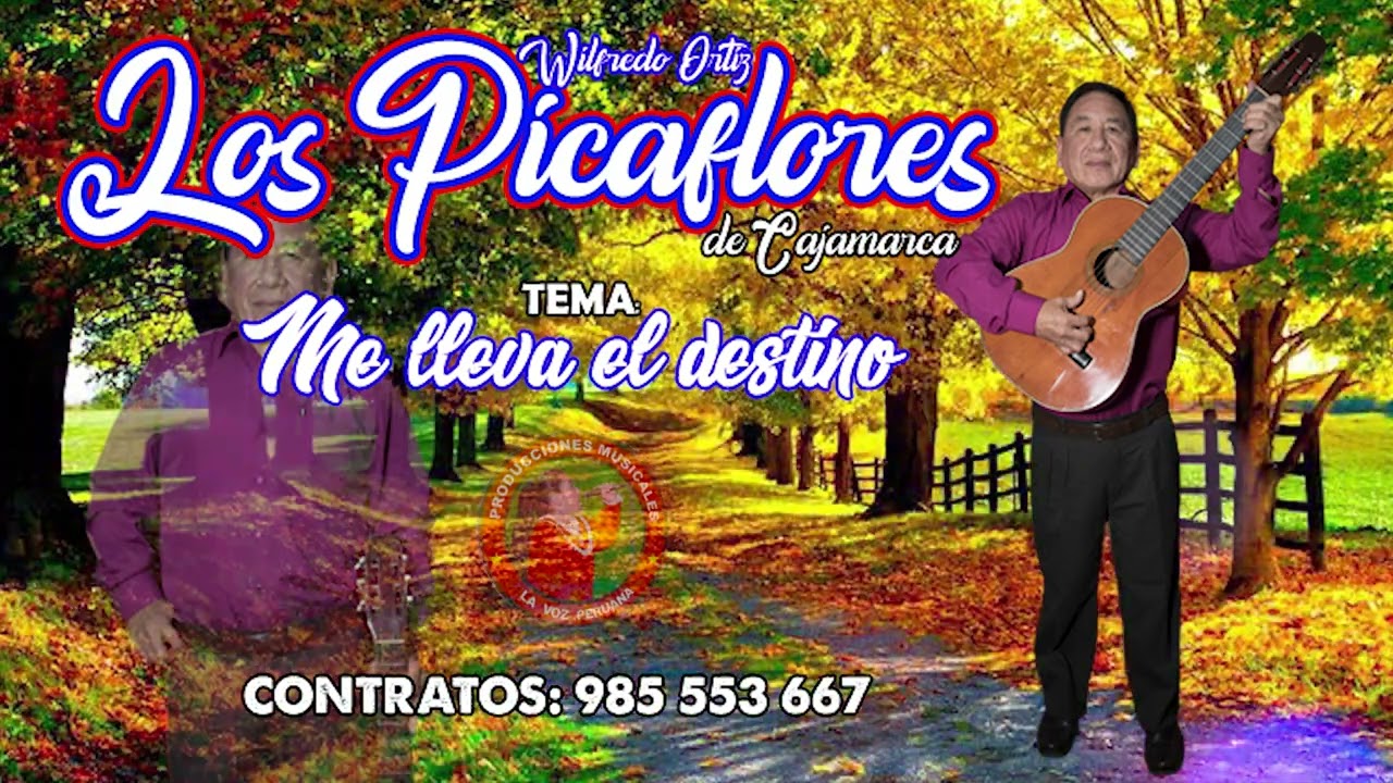 ME LLEVA EL DESTINO - LOS PICAFLORES DE CAJAMARCA - AUDIO OFICIAL 2026