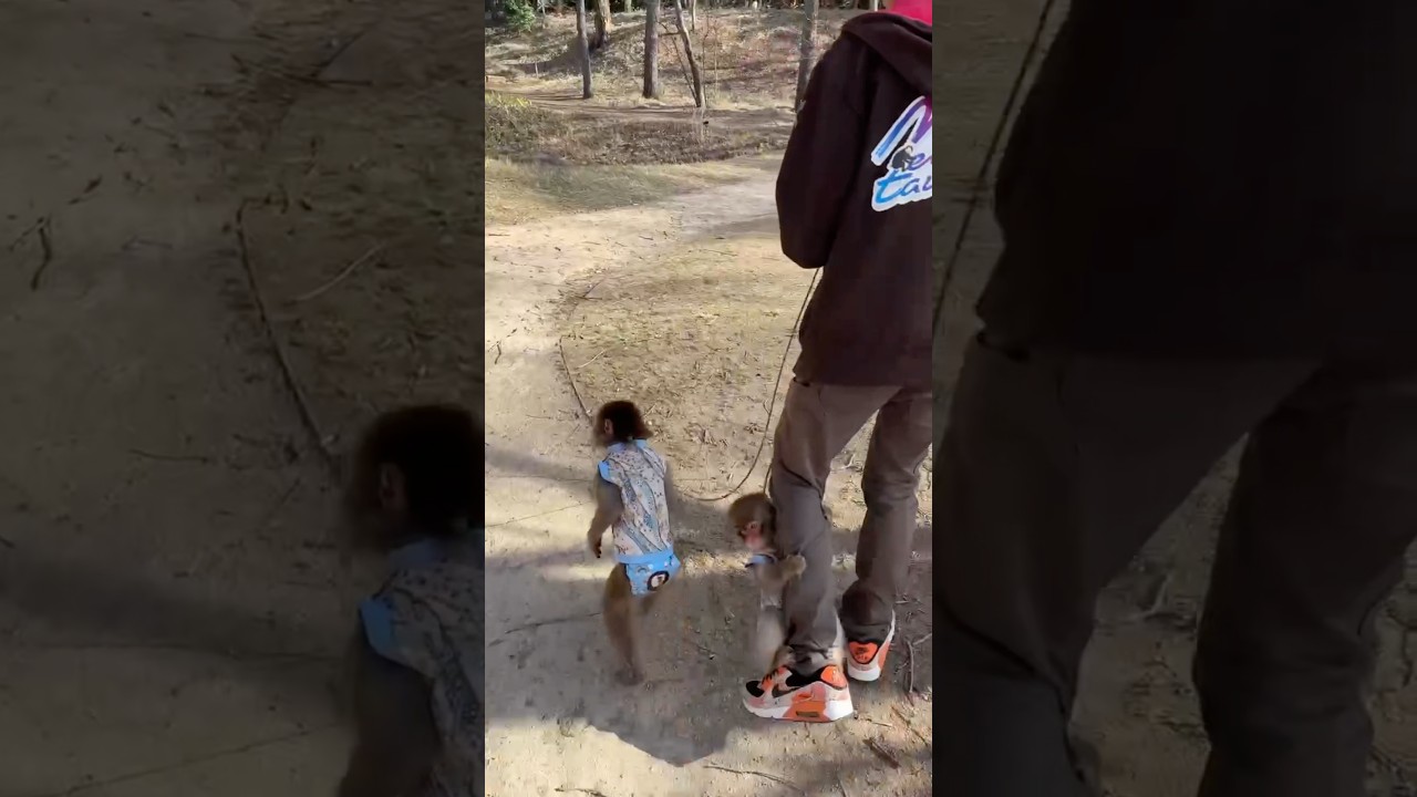 ４歳になる赤ちゃん！？💦まだまだ甘えたいかあるくん🧡The clingiest 4-year-old baby ever! He won't let go of my leg. #shorts